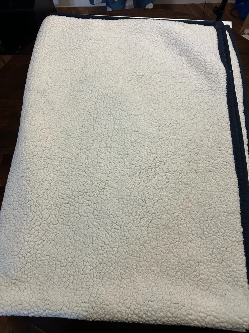 UGG Cream/Navy Sherpa Throw with Tan Logo Patch